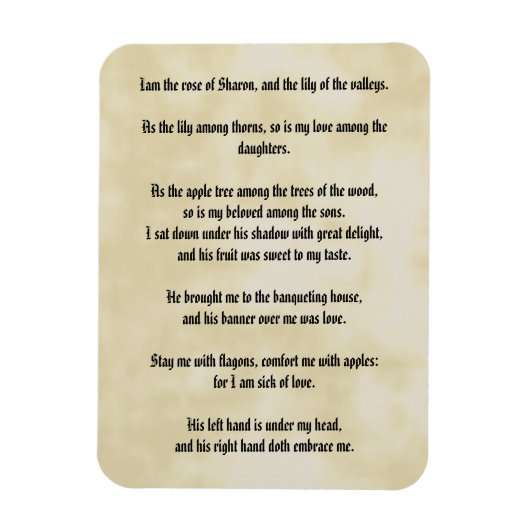 Zong van Solomon Magneet (Verticaal)