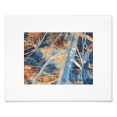 Zongebleekte rustieke kustlijn borstel foto afdruk (Voorkant)