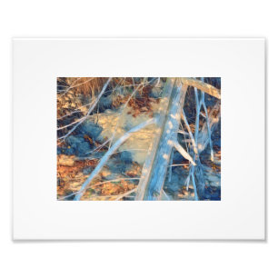 Zongebleekte rustieke kustlijn borstel foto afdruk