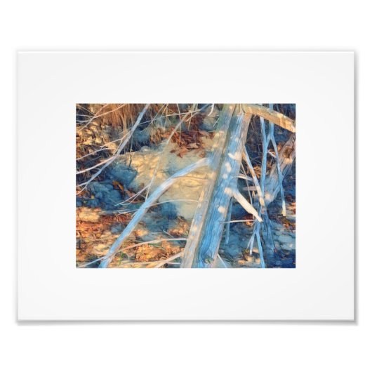 Zongebleekte rustieke kustlijn borstel foto afdruk (Voorkant)