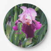 Zongekust roze magenta iris tuin papieren bordje (Voorkant)