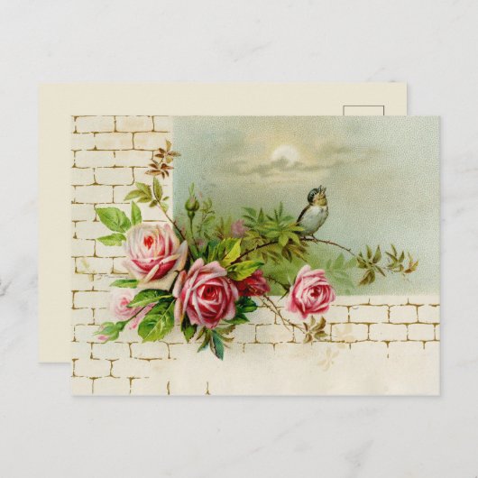 Zongvogel en Rozen Briefkaart (Voorkant / Achterkant)