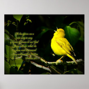 Zongvogel Inspirerend Poster