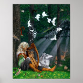 Zongvogels — Afdruk of Poster (Voorkant)