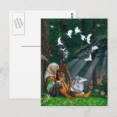 Zongvogels - Briefkaart (Voorkant / Achterkant)