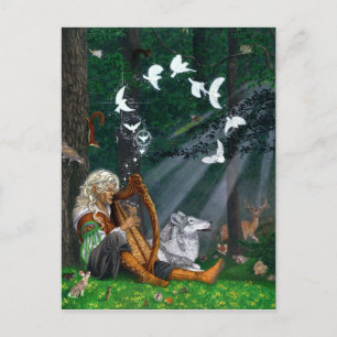 Zongvogels - Briefkaart