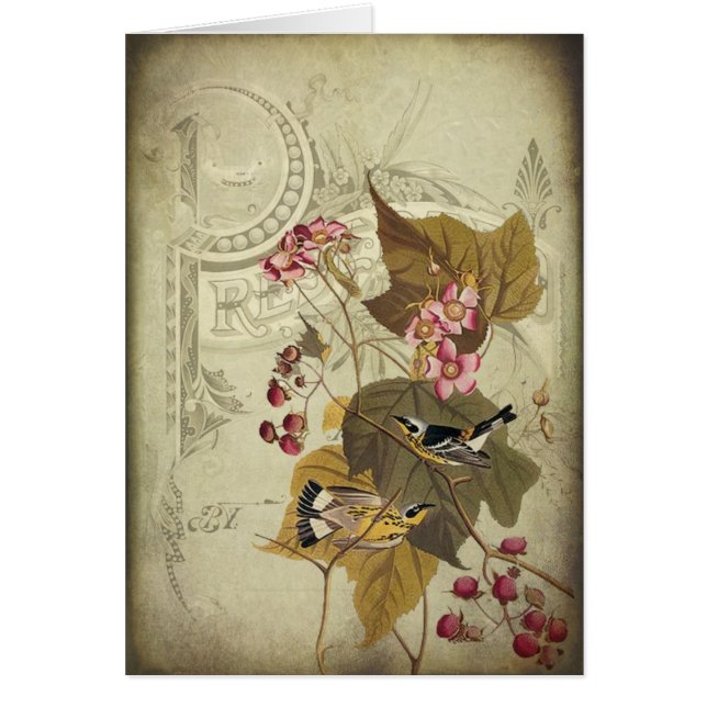 Zongvogels en Berries (Voorkant)