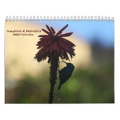 Zongvogels en botervliegen 2022 Kalender (Hoes)
