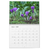 Zongvogels en botervliegen 2022 Kalender (Mar 2027)