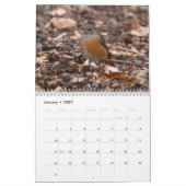 Zongvogels en botervliegen 2022 Kalender (Jan 2027)