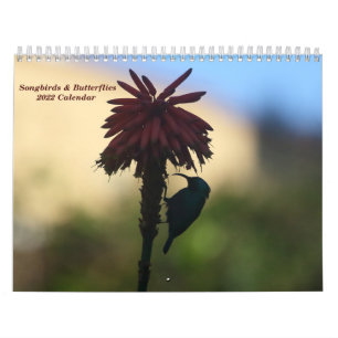 Zongvogels en Butterflies 2022-kalender Kalender