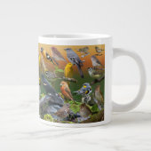 Zongvogels in het westen grote koffiekop (Rechts)