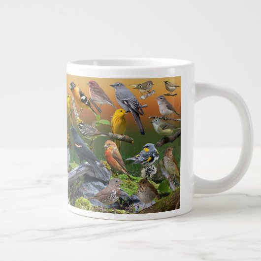 Zongvogels in het westen grote koffiekop (Rechts)