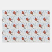 Zongvogels Inpakpapier Vel (Voorkant)