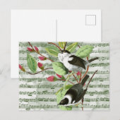 zongvogels op vel briefkaart (Voorkant / Achterkant)