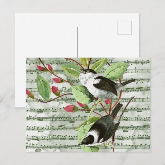 zongvogels op vel briefkaart (Voorkant / Achterkant)