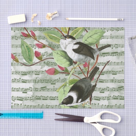  zongvogels op vel tissuepapier (Craft)