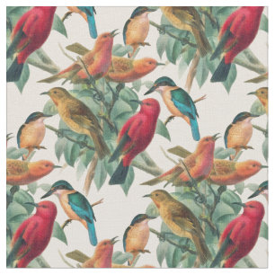 Zongvogels Stof