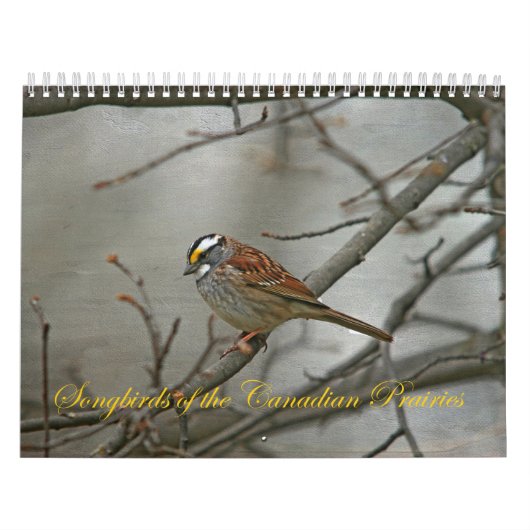 Zongvogels van de Canadese Prairies Kalender (Hoes)