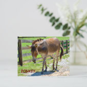 Zonkey part Zebra en Donkey Briefkaart (Staand voorkant)