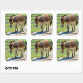 Zonkey part Zebra en Donkey Vierkante Sticker (Vel)