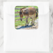 Zonkey part Zebra en Donkey Vierkante Sticker (Tas)