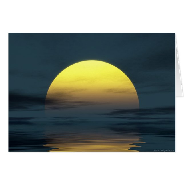 zonlicht (Voorkant Horizontaal)