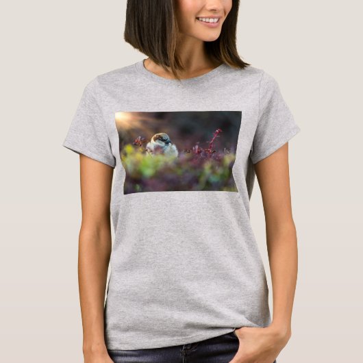 Zonlicht Bathing Finch T-shirt (Voorkant)