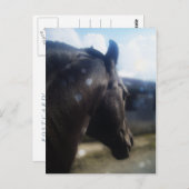 Zonlicht - Briefkaart (Voorkant / Achterkant)