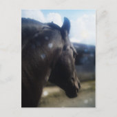 Zonlicht - Briefkaart (Voorkant)