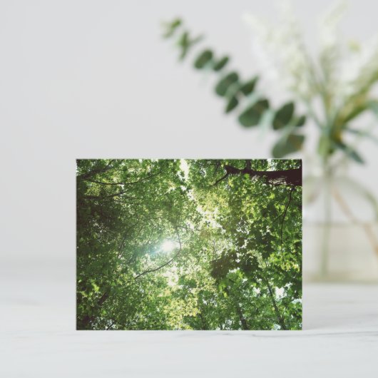 Zonlicht dat door de bladeren van bomen stroomt briefkaart (Staand voorkant)