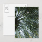 Zonlicht dat door de palmboom loopt briefkaart (Voorkant / Achterkant)