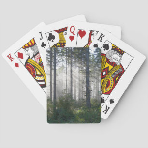 Zonlicht dat door een nevelig bos schijnt pokerkaarten