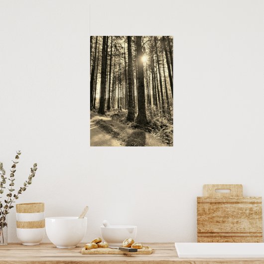 Zonlicht dat door het Poster Forest Trees komt (Keuken)