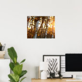 Zonlicht door Birch Trees 20x16 Poster Wall Art (Thuiskantoor)