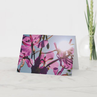 Zonlicht door Bloemen Wenskaart Kaart