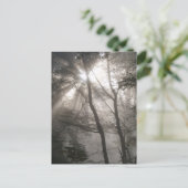 Zonlicht door bomen Dark Woodland Briefkaart (Staand voorkant)