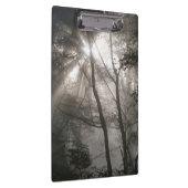 Zonlicht door bomen Dark Woodland Klembord (Rechts)