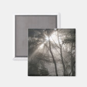 Zonlicht door bomen Donker bos Magneet (Voorkant / Achterkant)