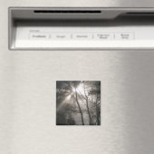 Zonlicht door bomen Donker bos Magneet (Insitu (Vaatwasser))