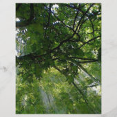 Zonlicht door bomen flyer (Voorkant)