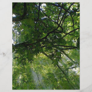 Zonlicht door bomen flyer