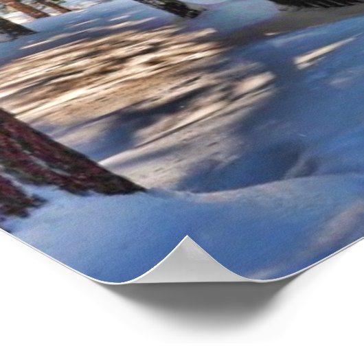 Zonlicht door bos poster (Hoek)