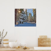 Zonlicht door bos poster (Keuken)