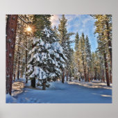 Zonlicht door bos poster (Voorkant)