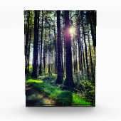 Zonlicht door bosbomen fotoblokken (Voorkant)