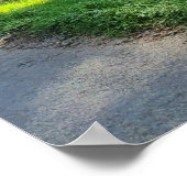 Zonlicht door bosbomen poster (Hoek)