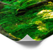 Zonlicht door bosbomen poster (Hoek)