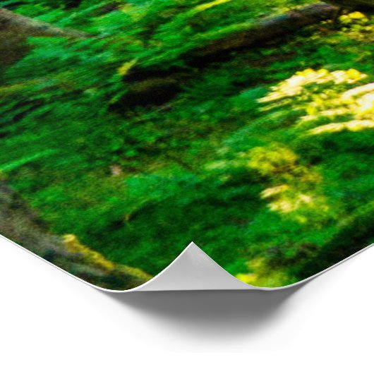 Zonlicht door bosbomen poster (Hoek)