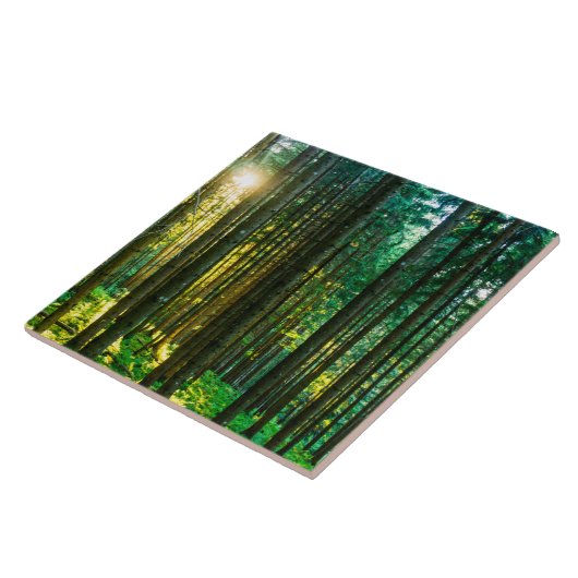 Zonlicht door bosbomen tegeltje (Zijkant)